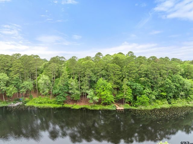 297 Bobwhite Ln, Holly Lake Ranch, TX 75765
