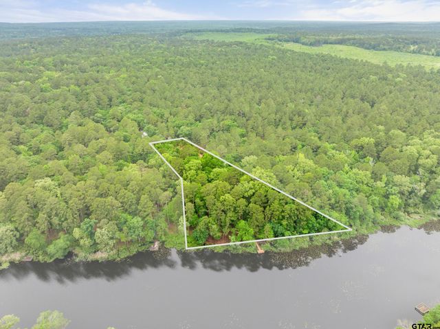 297 Bobwhite Ln, Holly Lake Ranch, TX 75765