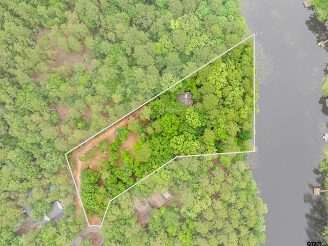 297 Bobwhite Ln, Holly Lake Ranch, TX 75765