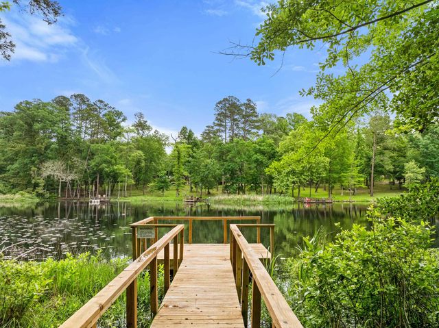 297 Bobwhite Ln, Holly Lake Ranch, TX 75765
