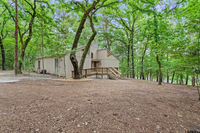 297 Bobwhite Ln, Holly Lake Ranch, TX 75765