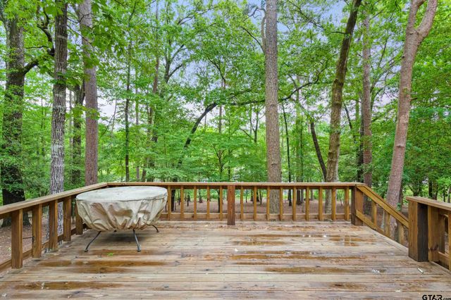 297 Bobwhite Ln, Holly Lake Ranch, TX 75765