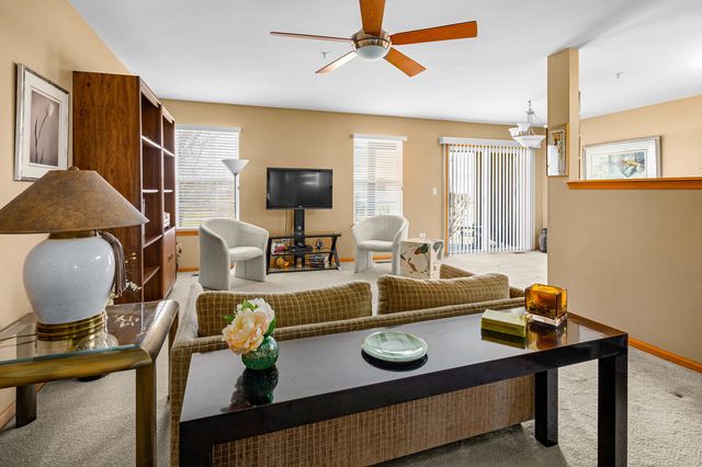 13809 S Bristlecone Drive A, Plainfield, IL 60544