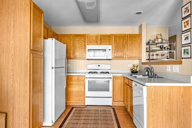 13809 S Bristlecone Drive A, Plainfield, IL 60544