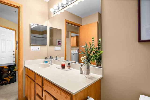 13809 S Bristlecone Drive A, Plainfield, IL 60544