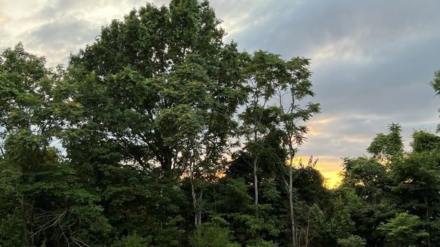 6132 Lookaway Cir, Franklin, TN 37067