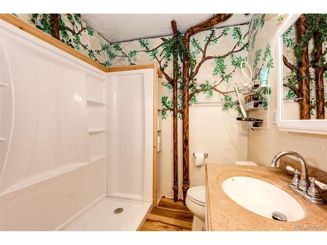 7573 Pine Crest Dr, Kiowa, CO 80117