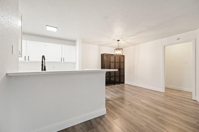 10733 Braes Bend Drive E10733, Houston, TX 77071