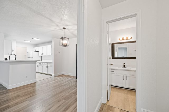 10733 Braes Bend Drive E10733, Houston, TX 77071