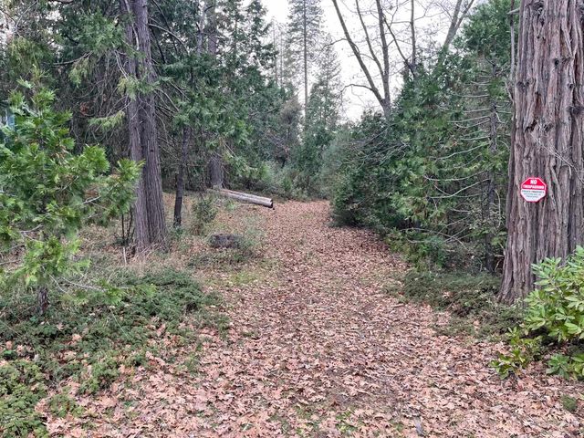 23090 N Bald Mountain Rd, Sonora, CA 95370