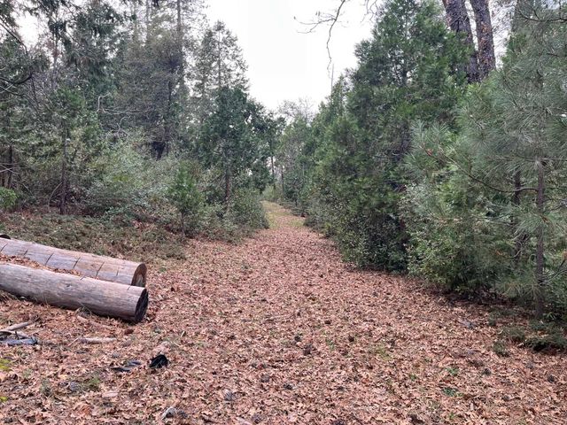 23090 N Bald Mountain Rd, Sonora, CA 95370