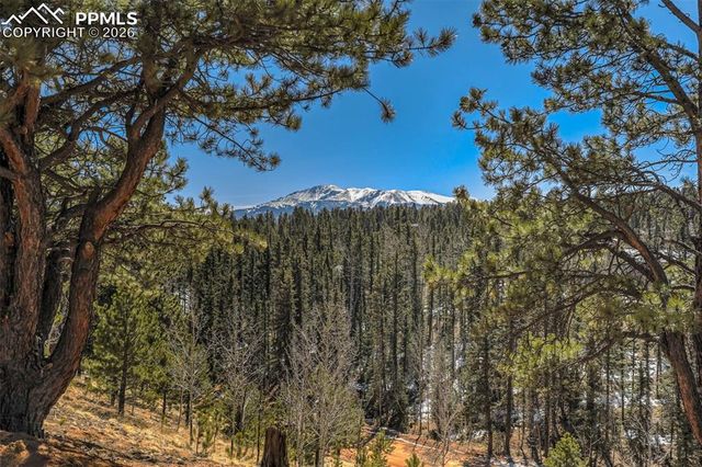 216 Ridge Road, Divide, CO 80814