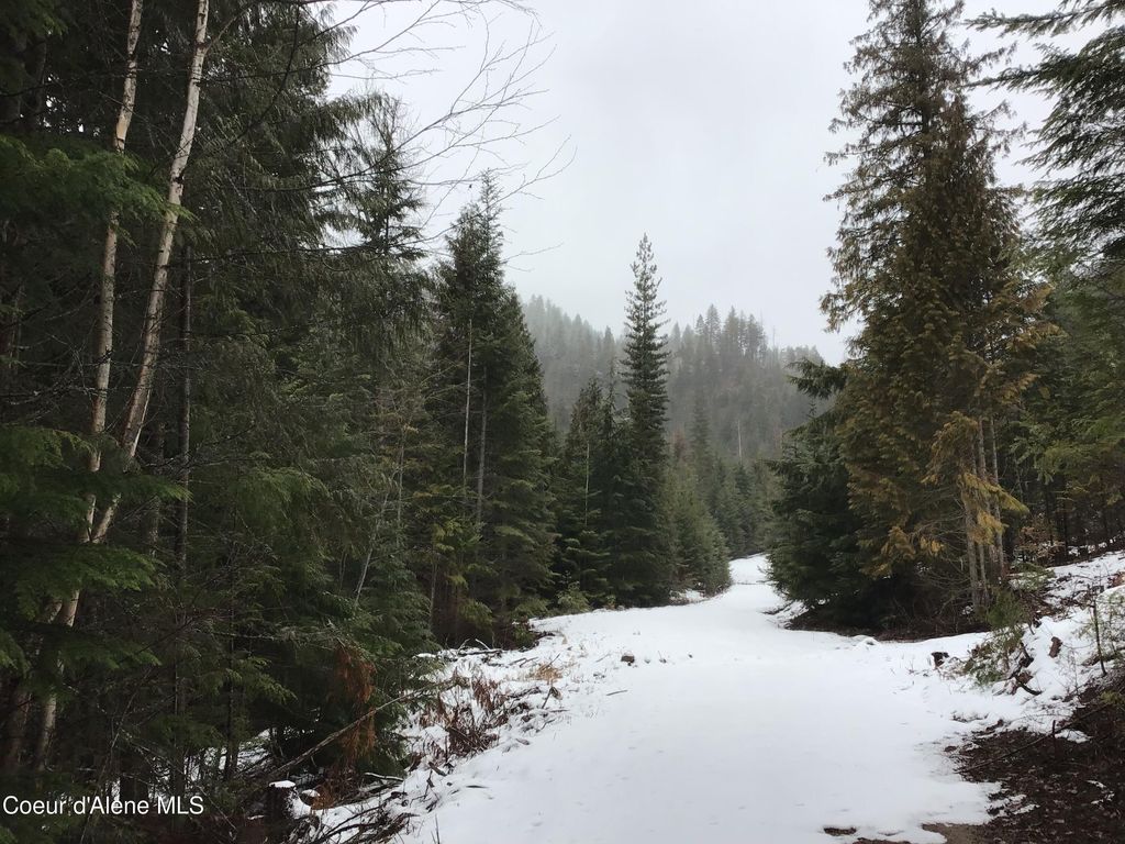 NKA Elmira Road Rd, Sandpoint, ID 83864