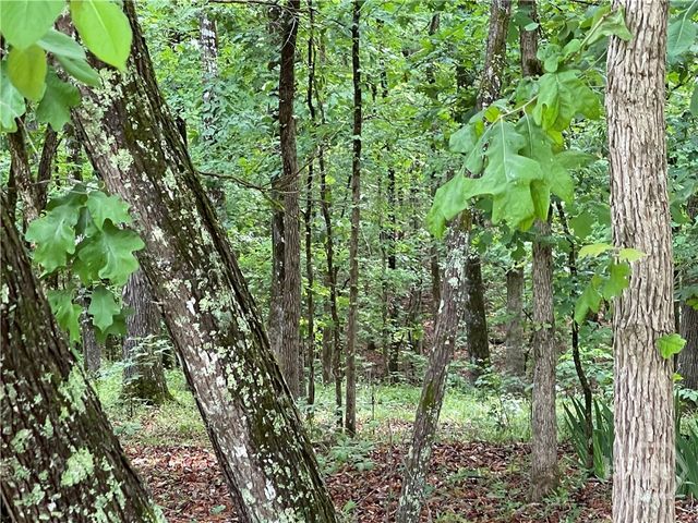 837 Bartram Trace, Rayle, GA 30660