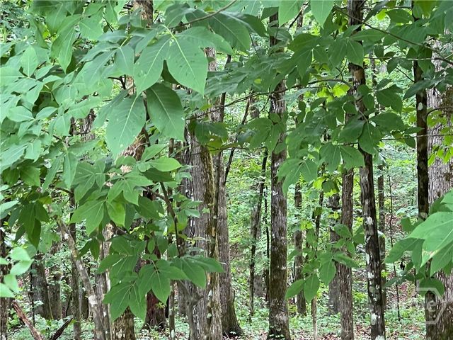 837 Bartram Trace, Rayle, GA 30660
