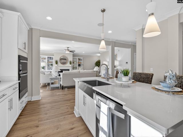 207 Murray Falls Lane, Chapin, SC 29036