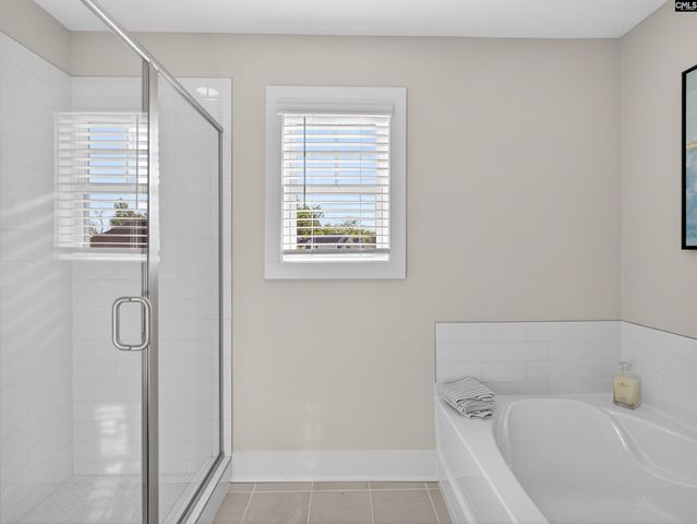 207 Murray Falls Lane, Chapin, SC 29036