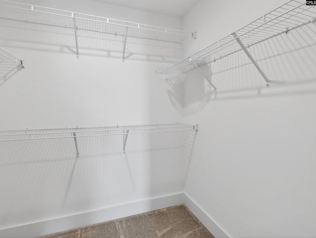 207 Murray Falls Lane, Chapin, SC 29036