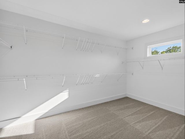 207 Murray Falls Lane, Chapin, SC 29036