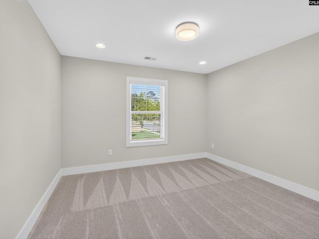 207 Murray Falls Lane, Chapin, SC 29036