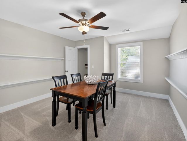 207 Murray Falls Lane, Chapin, SC 29036