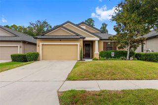 107 ELINA SKY DRIVE, Seffner, FL 33584