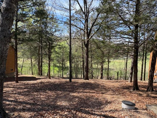 412 Baldknobber Drive, Branson West, MO 65737