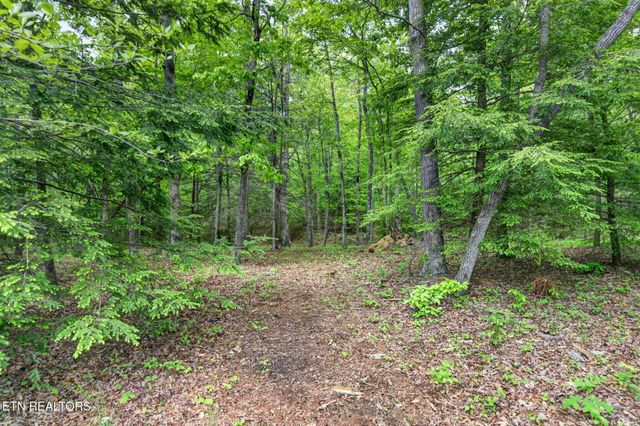 704 White Oak Rd, Monterey, TN 38574