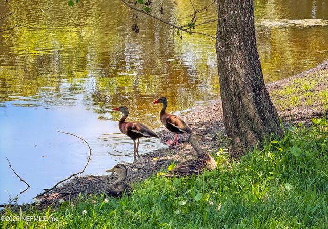 150A N ROSCOE Boulevard, Ponte Vedra Beach, FL 32082