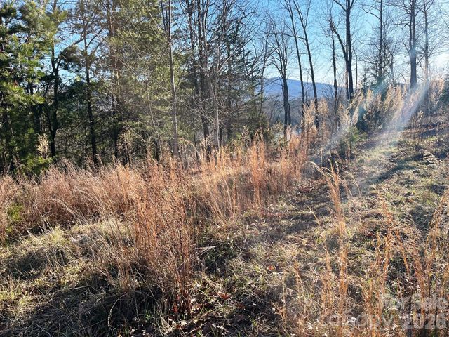 Lot 30 Mountain Parkway, Mill Spring, NC 28756