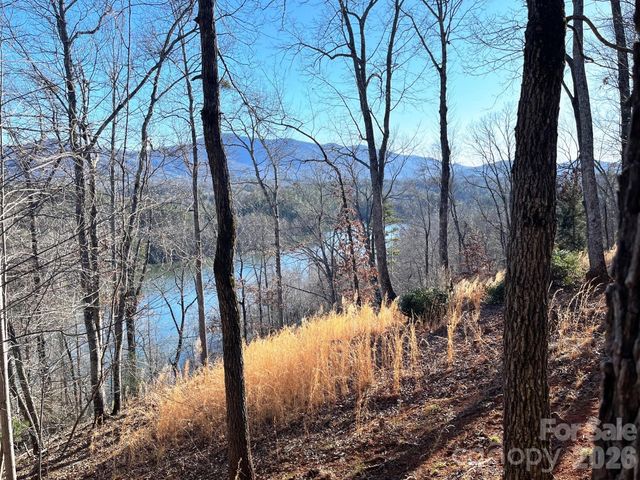 Lot 30 Mountain Parkway, Mill Spring, NC 28756