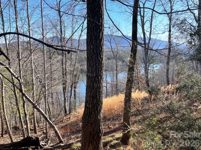 Lot 30 Mountain Parkway, Mill Spring, NC 28756