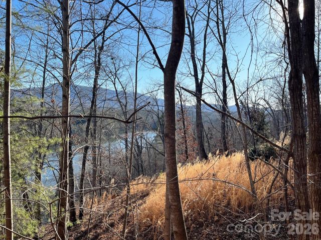 Lot 30 Mountain Parkway, Mill Spring, NC 28756
