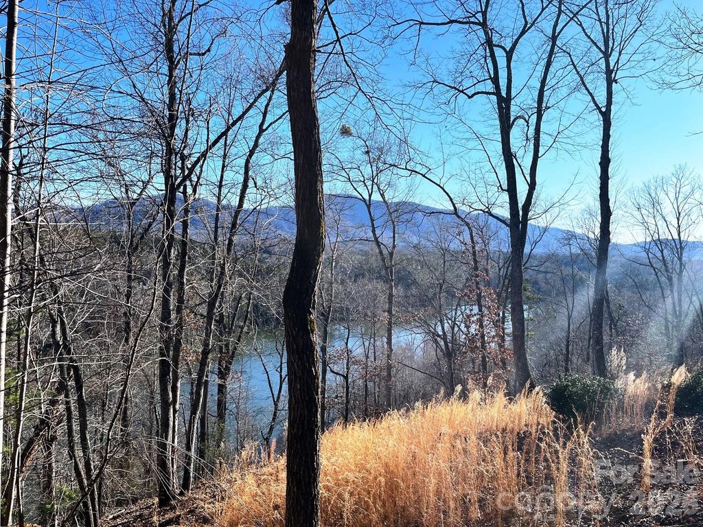 Lot 30 Mountain Parkway, Mill Spring, NC 28756