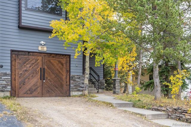 815 Vendome Avenue 7, Leadville, CO 80461