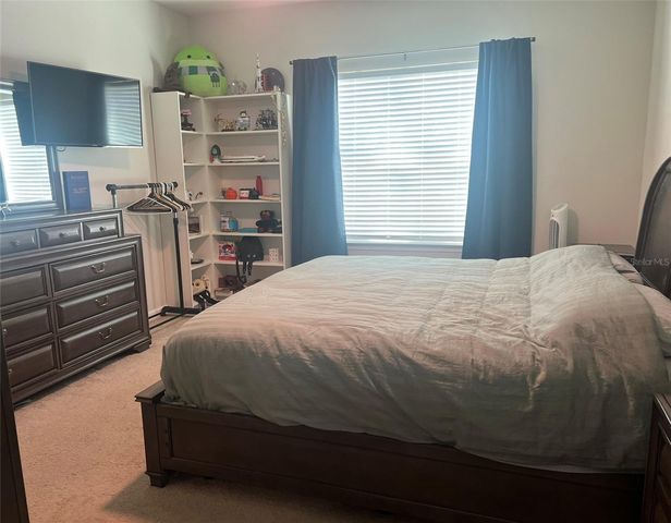 224 AUGUST FERN LOOP, Mount Dora, FL 32757