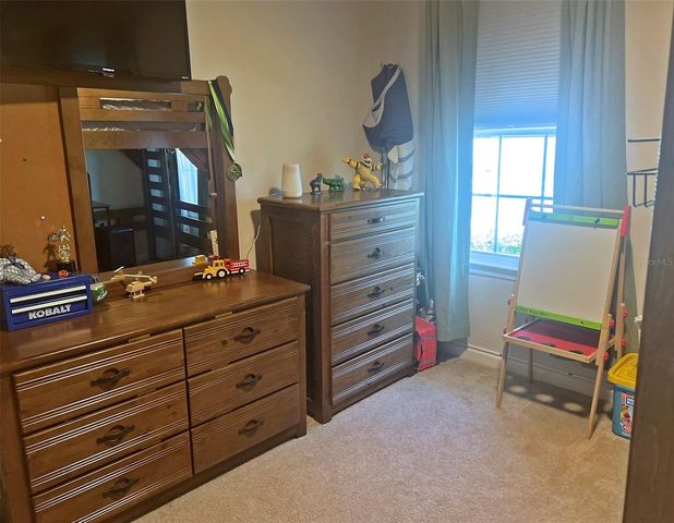 224 AUGUST FERN LOOP, Mount Dora, FL 32757