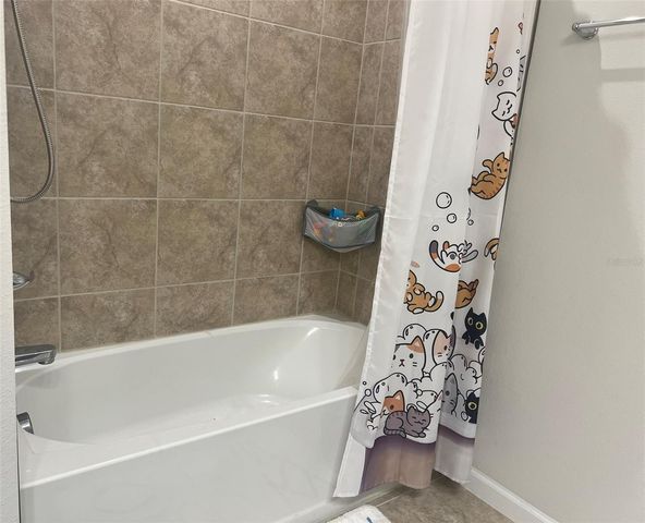 224 AUGUST FERN LOOP, Mount Dora, FL 32757