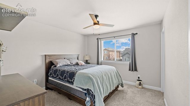 7643 Peachleaf Drive, Colorado Springs, CO 80925