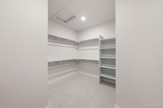 7313 Goldbloom Lane, Littleton, CO 80125