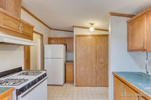 1675 W Willow Street, White Cloud, MI 49349