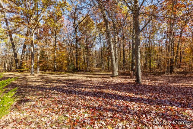 1675 W Willow Street, White Cloud, MI 49349