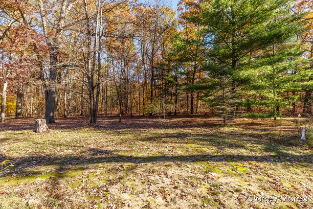 1675 W Willow Street, White Cloud, MI 49349