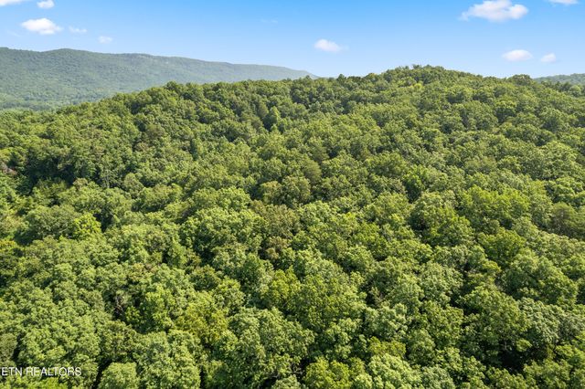 S S Roane St, Harriman, TN 37748