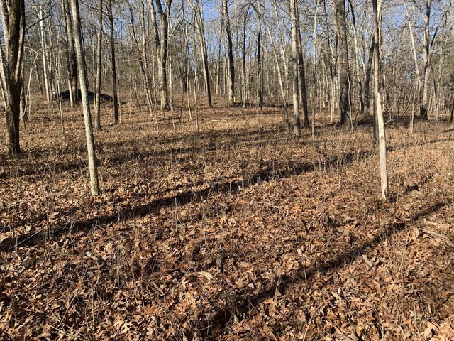 0 Pond Drive, Gallatin, TN 37066