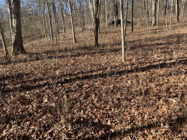 0 Pond Drive, Gallatin, TN 37066
