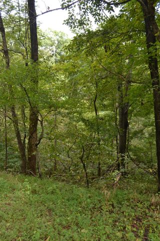 0 Pond Drive, Gallatin, TN 37066
