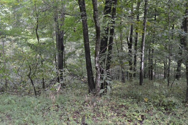 0 Pond Drive, Gallatin, TN 37066