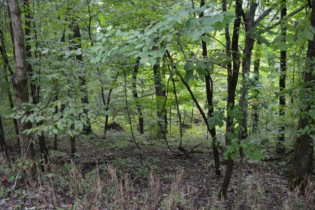 0 Pond Drive, Gallatin, TN 37066