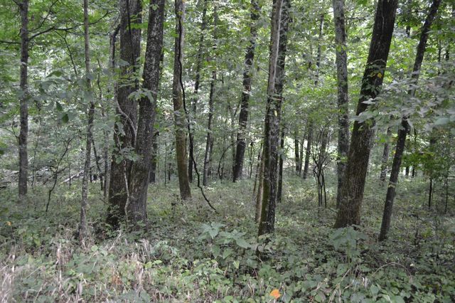 0 Pond Drive, Gallatin, TN 37066